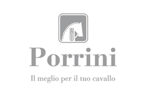 Porrini | Unique go phygital