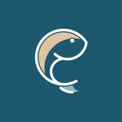 Ecommerce pesce fresco delivery StaseraPesce - Case history Unique